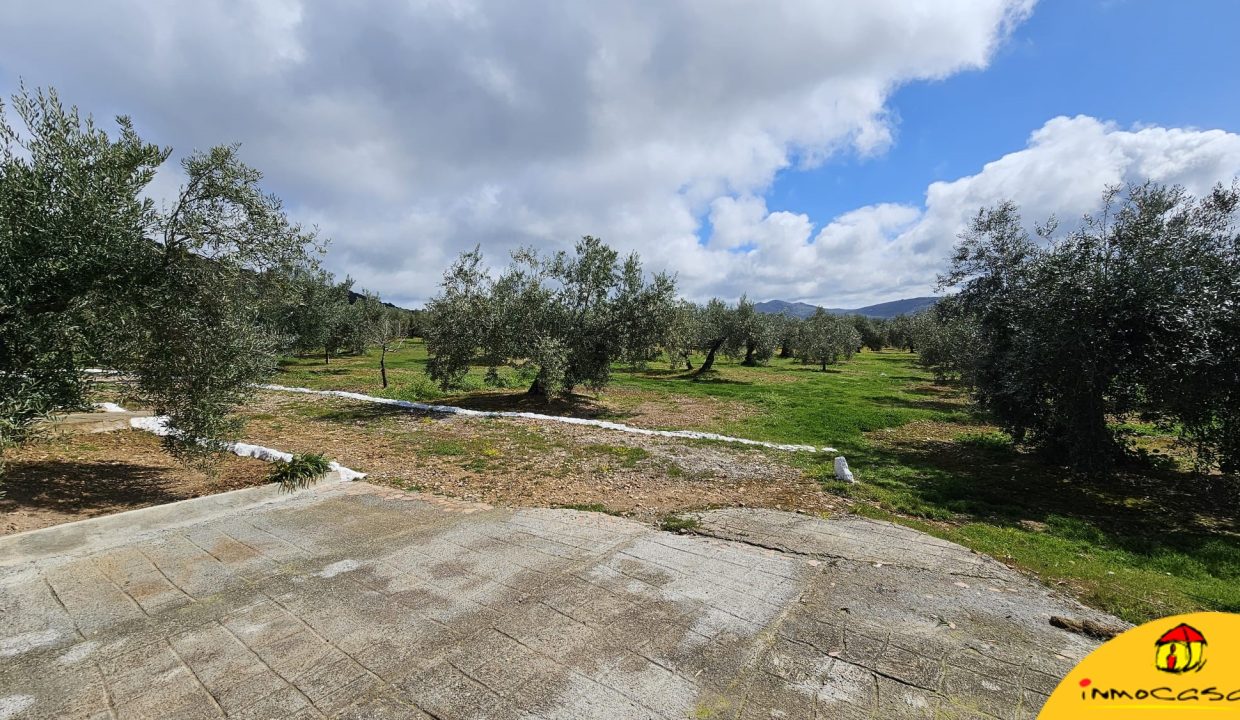 3 - Inmobiliaria - Alcala la Real - Inmocasa - Venta - Chalet - La Rabita - Olivos - Porche - Cochera - Chimenea - Barbacoa - Amueblada